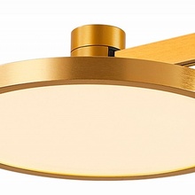 ST-Luce Farm ST818.206.12 Потолочный светильник Италия - фото 1 - фото 2