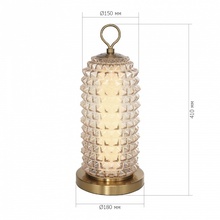 ST-Luce Saguaro SL6144.304.01 Настольная лампа декоративная Италия - фото 1 - фото 4