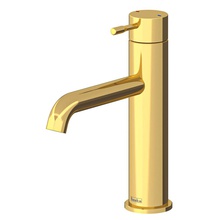 Teska Atlas Leo S E5717 Для раковины Золото Смеситель для раковины, Турция - фото 1 - фото 1