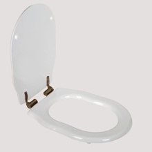 Tiffany World Bristol TWBR73bi/br Белый/бронза микролифт Крышка-сиденье Италия - фото 1 - фото 1