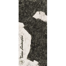 Tonino Lamborghini Magma 189118 F Logo B Black & White Lap Ret Керамогранит 120x280 см, Италия, под камень  - фото 1 - фото 1