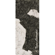 Tonino Lamborghini Magma 189120 F Logo D Black & White Lap Ret Керамогранит 120x280 см, Италия, под камень  - фото 1 - фото 1