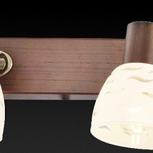 TopLight Shayla TL3730Y-04BB Спот 64x13,5x12 см, Россия - фото 1 - фото 3