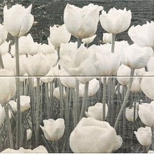 Tubadzin Sabaudia 2-elementowy flower Декор 44,8x44,8 см, Польша - фото 1 - фото 1