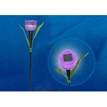 Uniel Tulip USL-C-453/PT305 PURPLE TULIP Светильник Китай - фото 1 - фото 1