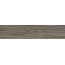 Alma ceramica Caspio GFA2090CSP44R Матовый Керамогранит 20x90 см, Россия, под дерево - фото 1