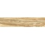 Alma ceramica Wonderwood GFA92WDW48R Керамогранит 20x90 см, Россия, под дерево - фото 4
