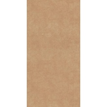 Versace Ceramics Harmony 0020878 Velvet Honey nat Керамогранит 60x120 см, Италия, под бетон  - фото 1 - фото 1