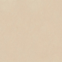 Versace Leatherwood 0017106 Cuir Beige nat 3D rett Керамогранит 120x120 см, Италия, под кожу  - фото 1 - фото 1