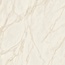 Versace Tarsia 0015278 Avorio Apuano Керамогранит 120x120 см, Италия, под мрамор - фото 4