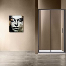 Vincea Garda VDS-1G110CLGM Прозрачное стекло/Вороненая сталь 110 Душевая дверь 0,6x110x190 см, Италия - фото 1 - фото 2