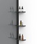 Vincea Walk-In VSW-1HWS800CGB Тонированноне стекло/Матовый черный 80 Душевая перегородка 0,8x80x200 см, Италия - фото 2 Vincea Walk-In VSW-1HWS800CGB Тонированноне стекло/Матовый черный 80 Душевая перегородка 0,8x80x200 см, Италия - фото 2