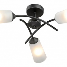 Vitaluce V2850 V2850-1/3PL Люстра Россия - фото 1 - фото 2