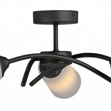 Vitaluce V2850 V2850-1/3PL Люстра Россия - фото 1 - фото 3