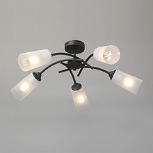 Vitaluce V2850 V2850-1/5PL Люстра Россия - фото 1 - фото 4