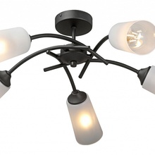 Vitaluce V2850 V2850-1/5PL Люстра Россия - фото 1 - фото 2