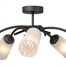 Vitaluce V2850 V2850-1/5PL Люстра Россия - фото 1 - фото 3