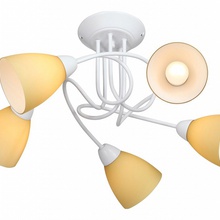 Vitaluce V3955 V3955-0/5PL Люстра потолочная Россия - фото 1 - фото 3