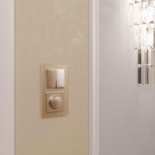 Werkel Favorit (Шампань) W0021111 Комплектующее для светильников 16,1x8,8x1,1 см, Швеция - фото 1 - фото 3