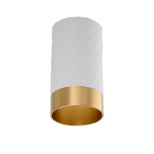 Wolta Cella Wsl-Gu10 WSL-GU10/10WG Точечный светильник Китай - фото 1 - фото 3