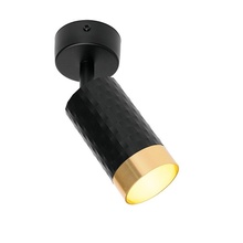 Wolta Cella Wsl-Gu10 WSL-GU10/S10BG Спот Китай - фото 1 - фото 4