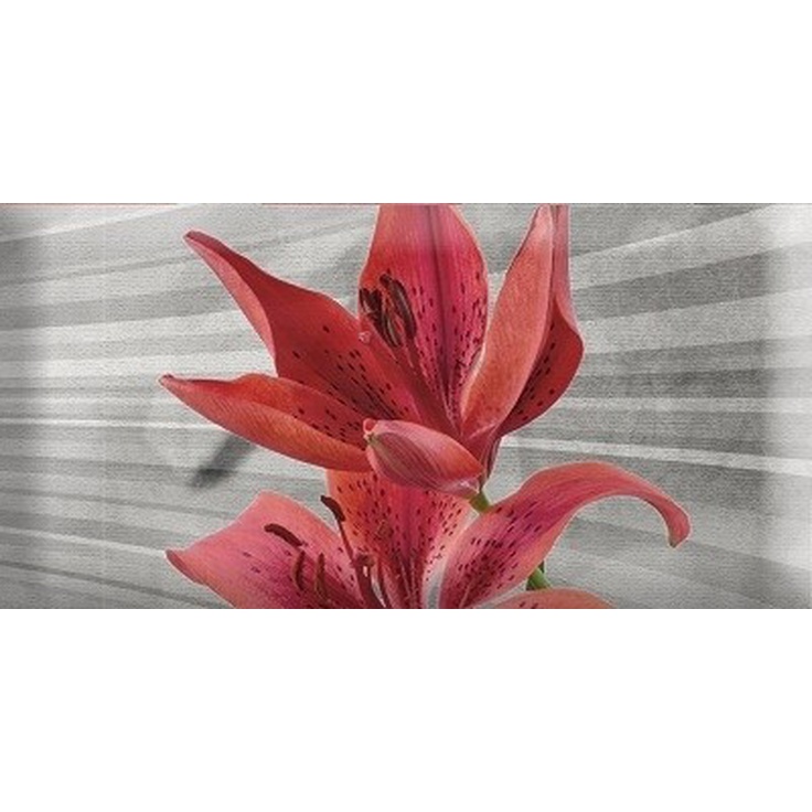 Absolut Keramika Monocolor Mix Flowers RBW 2 Декор 7,5x15 см, Испания, под обои  - фото 1