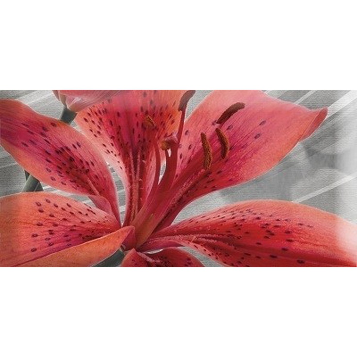 Absolut Keramika Monocolor Mix Flowers RBW 6 Декор 7,5x15 см, Испания, под обои  - фото 1