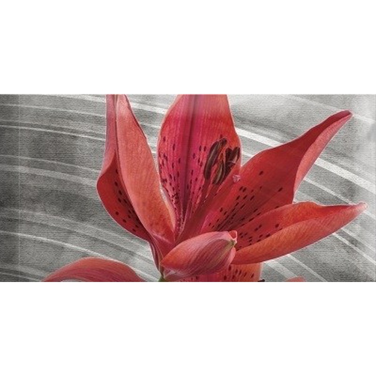 Absolut Keramika Monocolor Mix Flowers RBW 7 Декор 7,5x15 см, Испания, под обои  - фото 1