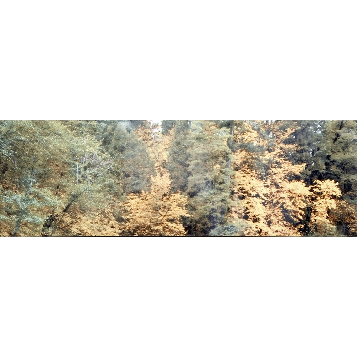 Aparici Solid-Zero View Décor D Декор 25,1x75,6 см, Испания, под обои  - фото 1