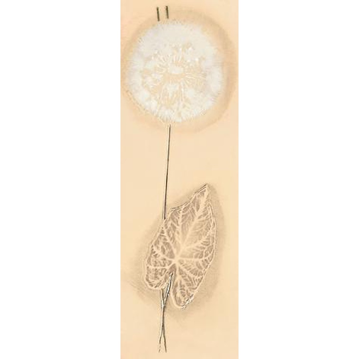 Атем Alexa желтая Oduvan Желтый YL Декор 13,1x40 см, Украина - фото 1