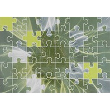 Azulejos Alcor Lyon Dec. Puzzle Verde Декор 31,6x44,5 см, Испания, под мозаику - фото 1 - фото 1