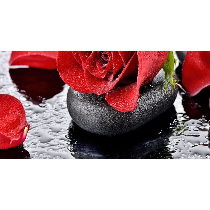 Belleza Фреш Touch B стеклянный Декор 25x50 см, Индия, под обои - фото 1 Belleza Фреш Touch B стеклянный Декор 25x50 см, Индия, под обои - фото 1