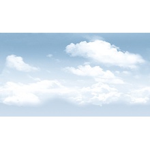 Ceradim Ocean Dec Tropic 1 Декор 25x45 см, Индия - фото 1 - фото 1