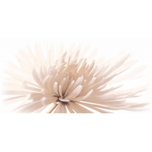 Cersanit Emma C-EA2L051D Белый Декор 29,7x60 см, Польша - фото 1 - фото 1