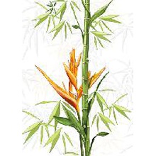 Cersanit Jungle Белый (C-JU2M051) Декор 25x35 см, Польша - фото 1 - фото 1