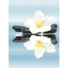 Дельта Керамика Dream P2-2D185  (из 2-х пл.) Панно 30x40 см, Россия - фото 1 - фото 1