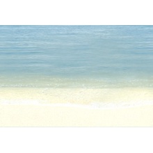 Дельта Керамика Mauritius D7D138 Декор 20x30 см, Россия - фото 1 - фото 1