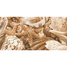 Golden Tile Sea Breeze Декор Shells 1 Декор 30x60 см, Украина - фото 1 - фото 1