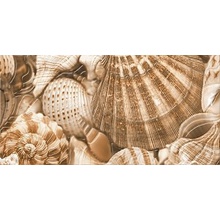 Golden Tile Sea Breeze Декор Shells 3 Декор 30x60 см, Украина - фото 1 - фото 1