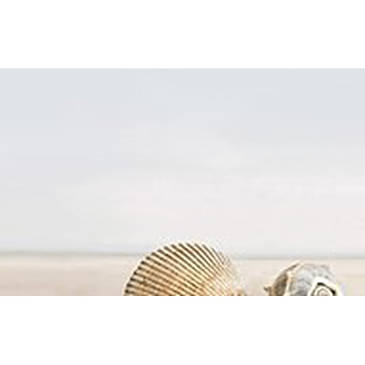 Golden Tile Summer Stone Бежевый 1 Декор 25x40 см, Украина, под обои  - фото 1