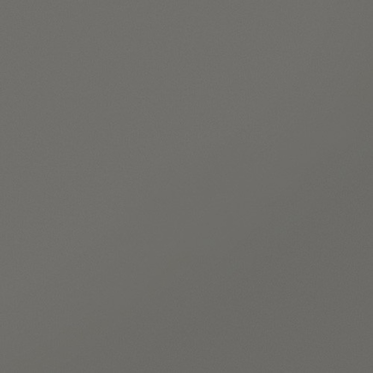 Idalgo Моноколор CF UF004MR Асфальт Матовый Керамогранит 60x60 см, Россия - фото 1