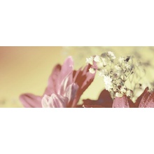 Керамин Сиерра 3C Цветы тип 2 Декор 20x50 см, Беларусь, под обои  - фото 1 - фото 1