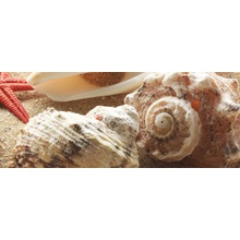 Керамин Сиерра Тип 4 ракушки Декор 20x50 см, Беларусь - фото 1 - фото 1