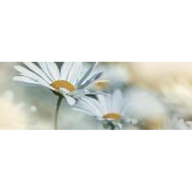 Keros Dance Dec Calido Dance E Декор 25x70 см, Испания - фото 1