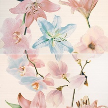 Lasselsberger (LB-Ceramics) Белла  1604-0030  (2 плитки)  Панно 39,8x39,8 см, Россия, под обои  - фото 1 - фото 1