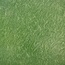 Luaohua ceramics Трава № 4012 (трава) Напольная плитка 40x40 см, Китай - фото 1