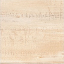 Mainzu Pacific PT01747 Pav. Crema Настенная плитка 20x20 см, Испания - фото 1 - фото 1