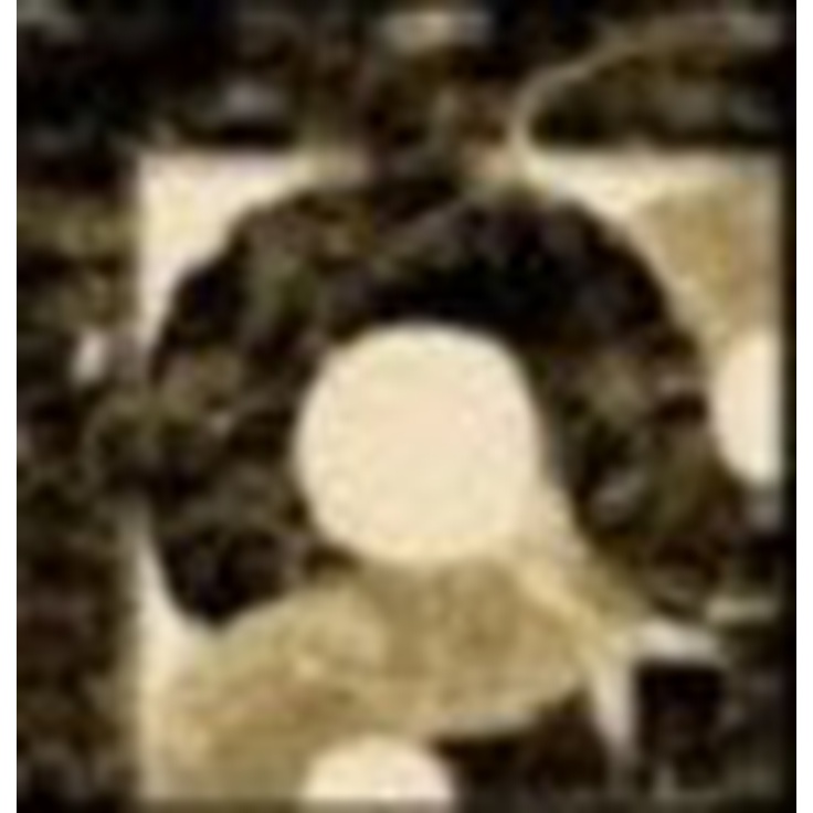 Marmocer Waterjet 46 Waterjet Border Декор 10x10 см, Китай - фото 1