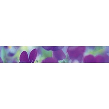 Муза-Керамика Sweet home B300D241 Бордюр 4,5x30 см - фото 1 - фото 1