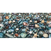 Alma ceramica Ривьера ВС9РВ024 / DWU09RVR024 Декор 24,9x50 см, Россия - фото 1 - фото 1